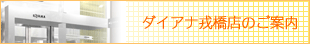 �_�C�A�i�^���X�̂��ē�