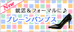 �t�H�[�}�����A���Ɂ�v���[���p���v�X���W