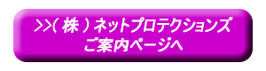 (株)ネットプロテクションズご案内サイトへ