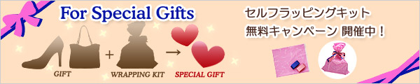 �Z���t���b�s���O�L�b�g�̂��ē�
