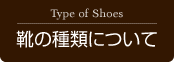 �C�̎�ނɂ���